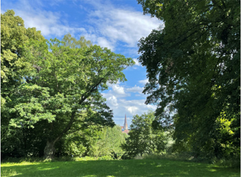 Heilanstalt Gehlsheim Richtung der Marienkirche in Rostock © de Veer/LAKD