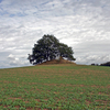 Denkmal braucht Schutz und Pflege – Ehrenamt hilft! Foto: LAKD M-V/LA, Dr. Jens-Peter Schmidt.