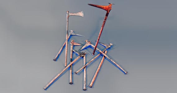 Abb. 1: Melz, Lkr. Mecklenburgische Seenplatte. Gesamtansicht des Hortfundes. Bei genauem Hinsehen sind die beiden „kopflosen“ Schäfte zu erkennen.