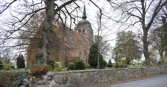 Abb. 14. Trent, Landkreis Vorpommern-Rügen, geschädigte Kirchhofsmauer (Interner Link: Denkmal des Monats Dezember 2024: Vom Denkmalwert der ländlichen Kirchhöfe und die Kirchhofsmauer in Trent auf Rügen)